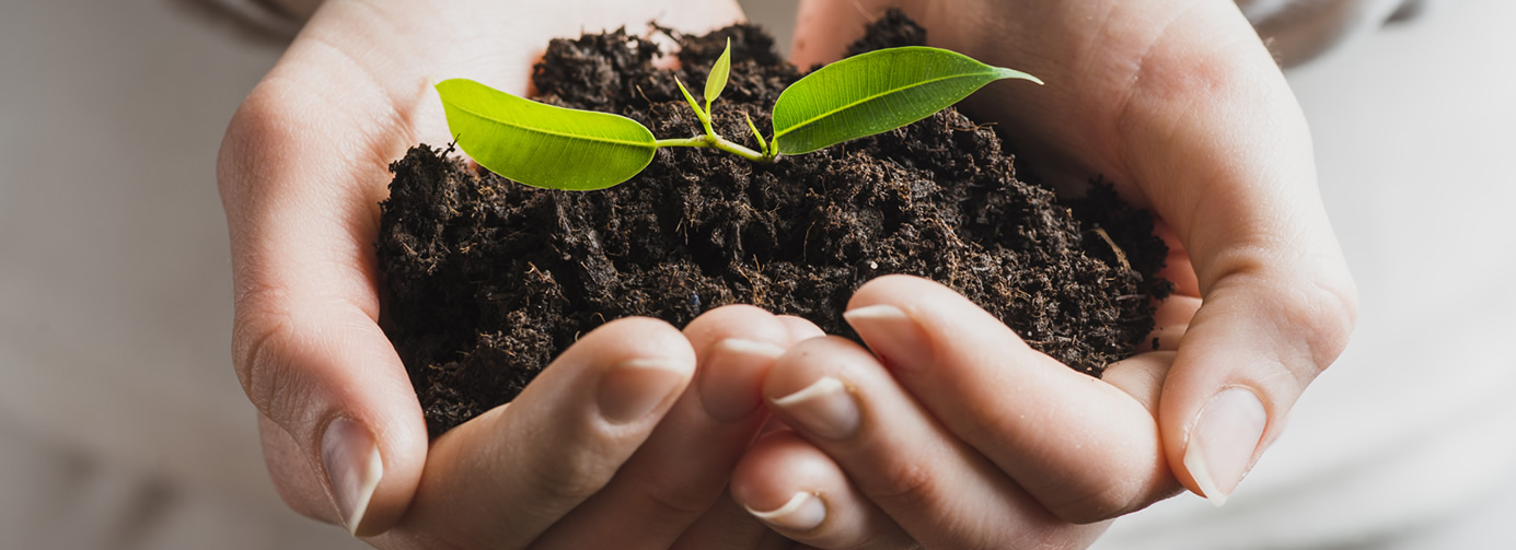 SERVIÇOS DE MEIO AMBIENTE EM SANTOS- DBT ENGENHARIA