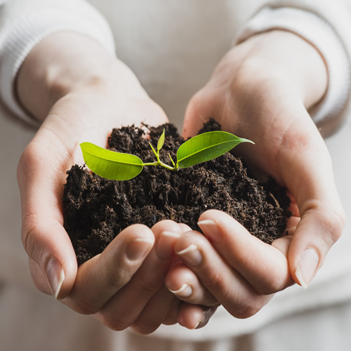 SERVIÇOS DE MEIO AMBIENTE EM SANTOS - DBT ENGENHARIA